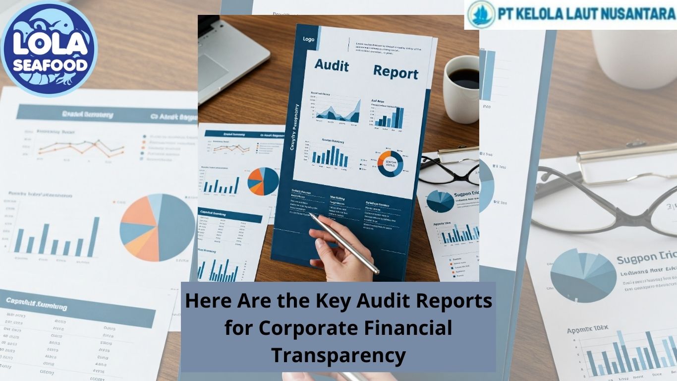 Here Are the Key Audit Reports for Corporate Financial Transparency